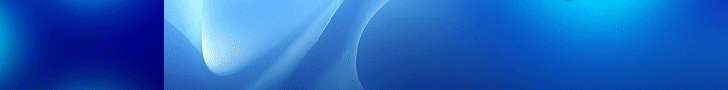 Download Link to BPM Buyer's Guide