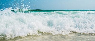 7 Vendors Included in Latest Forrester Wave for Data Resiliency