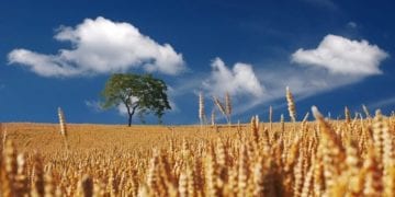 TierPoint Launches Cloud-to-Cloud Recovery with VMware Cloud Availability