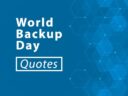 45 World Backup Day Quotes from 32 Experts for 2023 45 World Backup Day Quotes from 32 Experts for 2023