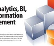 2014 Business Intelligence and Analytics Survey