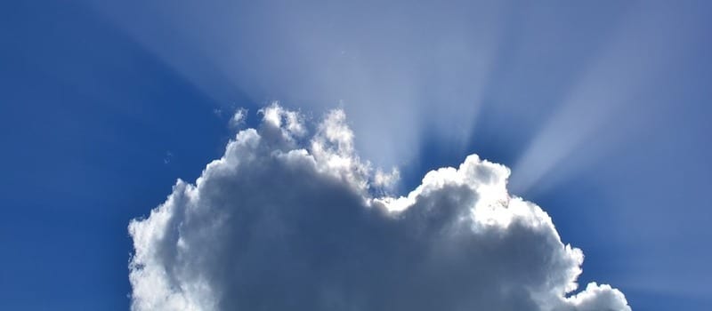 Public Cloud a Hot Commodity in BI and Data Management