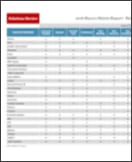 Business Intelligence Matrix Report