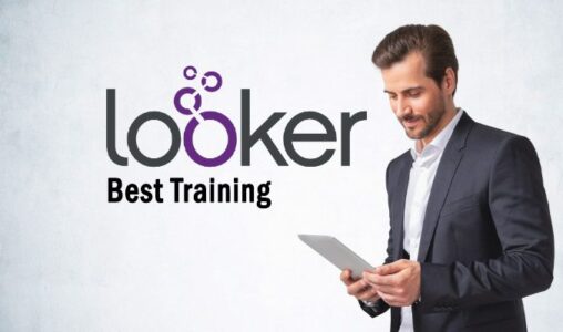 The Best Looker Training Online