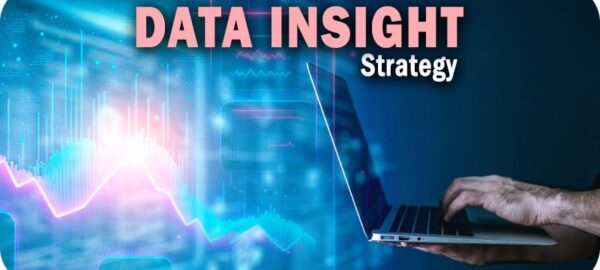 Data Insight Strategy Data Insight Strategy