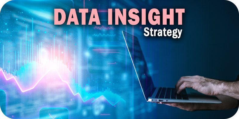 Data Insight Strategy