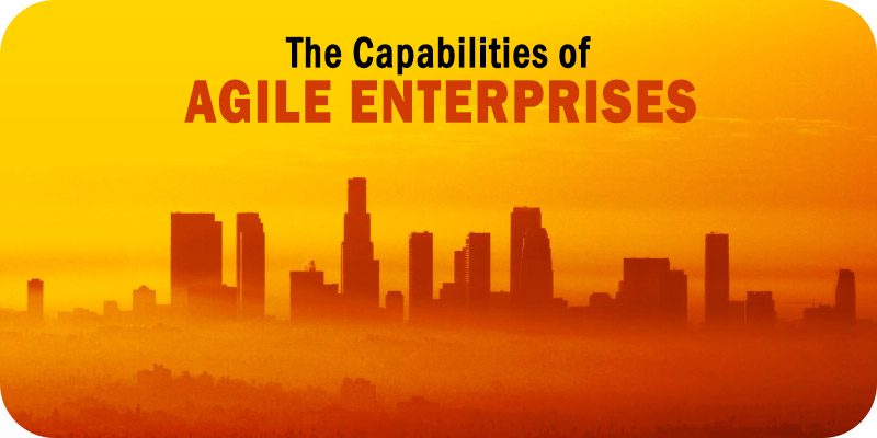 The Capabilities of Agile Enterprises Today