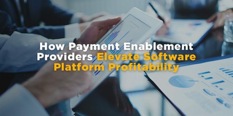 Payment Enablement Providers