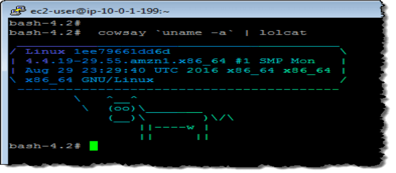 AWS: Amazon Linux Container Image Now Available for Cloud and On-Premises Use