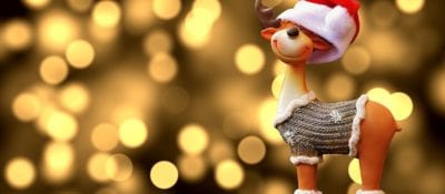 Why SeeUnity is the Rudolph of ECM