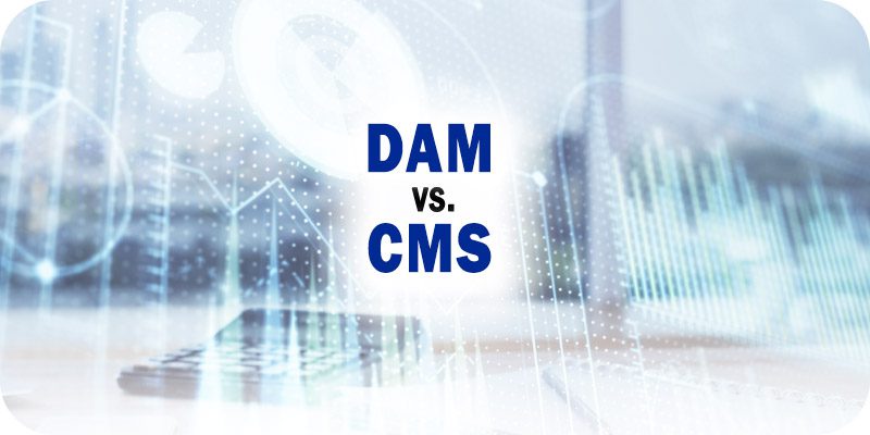 Key DAM vs. CMS Differences