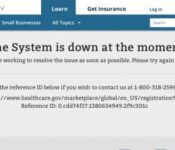 ObamaCare a failure of data integration