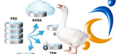Is Gold Client Attunity’s Golden Goose?