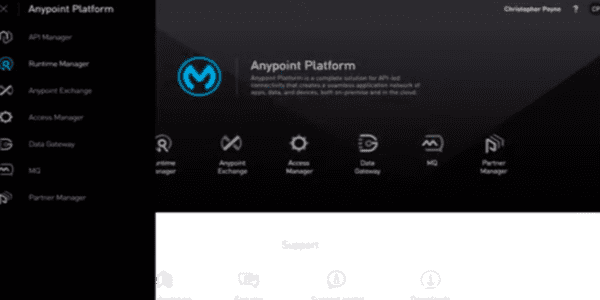 MuleSoft Screenshot