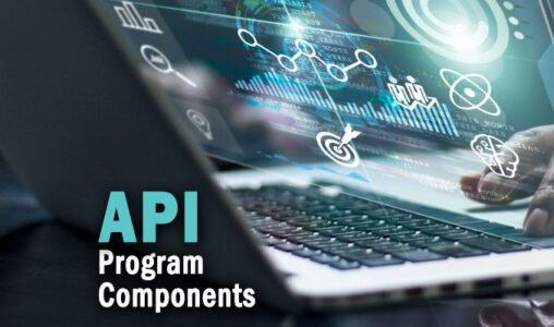 API Program Components