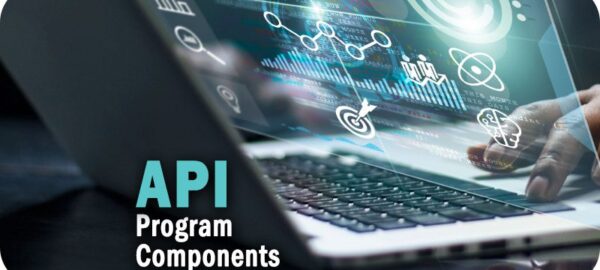 API Program Components API Program Components