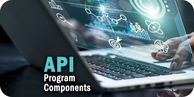 API Program Components