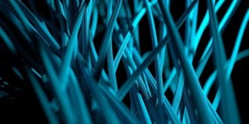 From Data Lake to Data Hub: What is the Road Forward?
