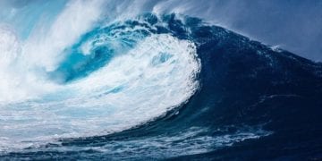 Key Takeaways: Forrester Wave for Machine Learning Data Catalogs, Q4 2020