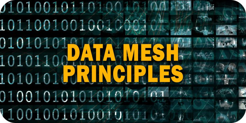 Data Mesh Principles