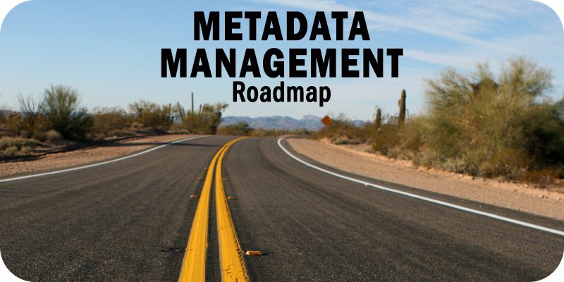 Metadata Management Roadmap