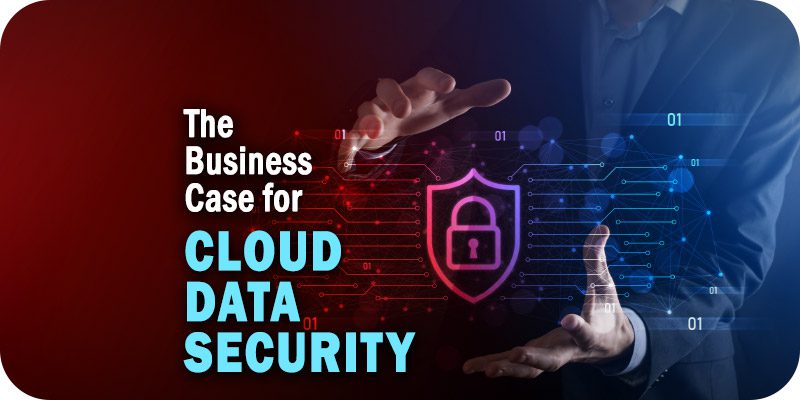 The Business Case for Cloud Data Security Software