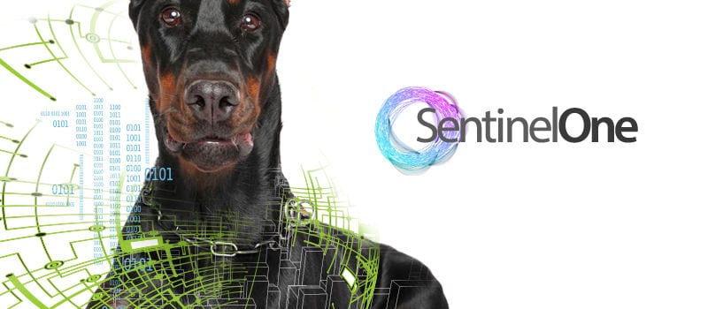 sentinelOneDog