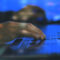 The Critical Role of Endpoint Security in OT Environments