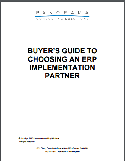 Guide to Choosing an ERP Implementation Partner