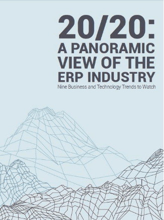 20/20: A Panoramic View of the ERP Industry