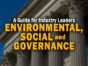 How to Wield the ESG Knife: A Practical Guide for Industry Leaders How to Wield the ESG Knife: A Practical Guide for Industry Leaders