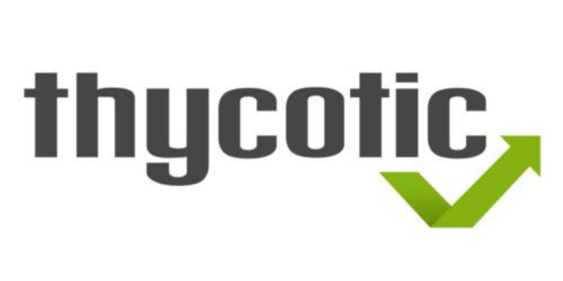 thycotic privileged access management 2020