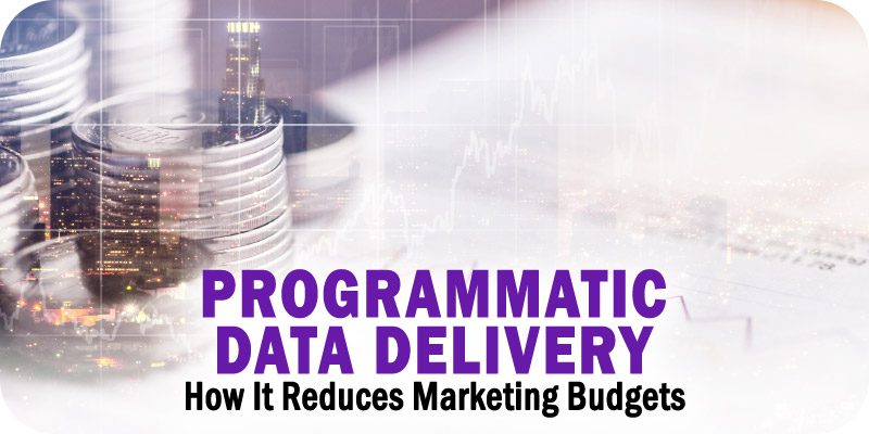 Programmatic Data Delivery