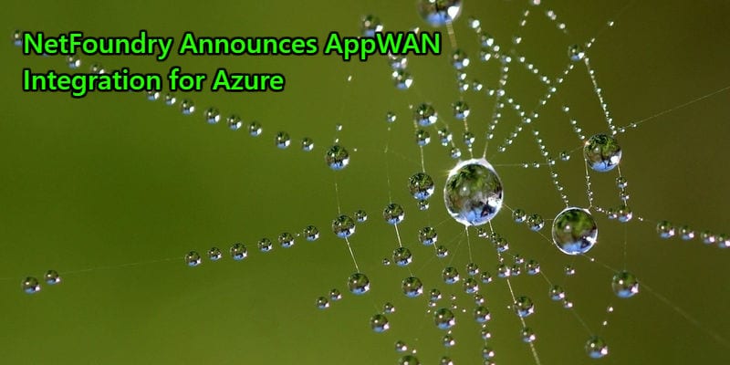 netfoundry appwan azure