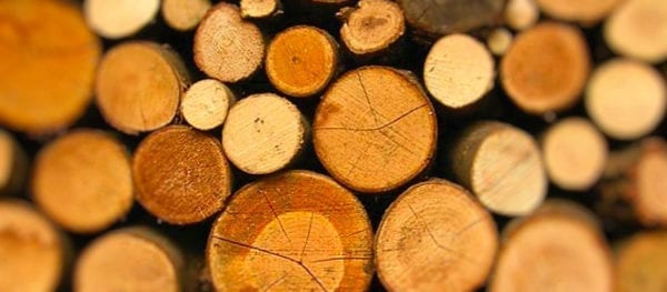 logs1.jpg