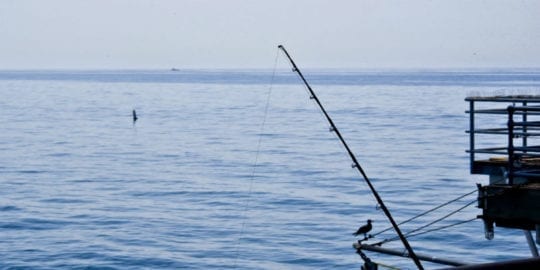phishing-mod.jpg