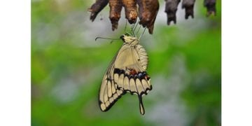 How SIEM Can Help You Avoid a Digital Transformation Failure