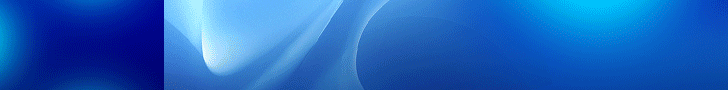 Link to ERP Buyer's Guide