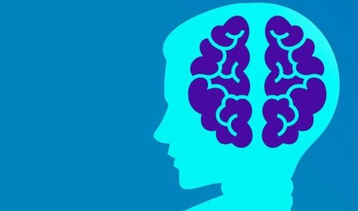 Sisense Announces the Release of its New Data Cognition Engine