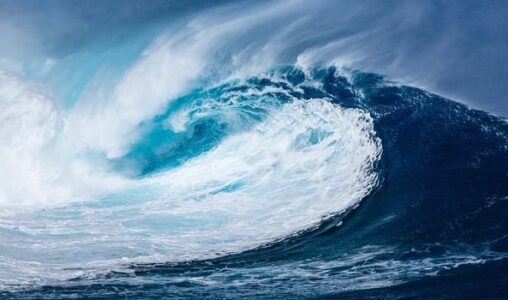 Key Takeaways from The Forrester Wave: 2017 Digital Process Automation Software Report, Q3