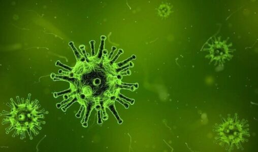 51% of Organizations Have No Business Continuity Plan to Combat Coronavirus