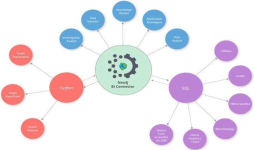 The Neo4j BI Connector Presents Live Graph Datasets for Analysis