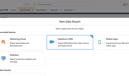 Salesforce CDP Updates