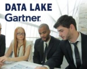 Data-Lake-Gartner.jpg