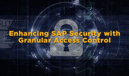 Beyond Firewalls Enhancing SAP Security with Granular Access Control